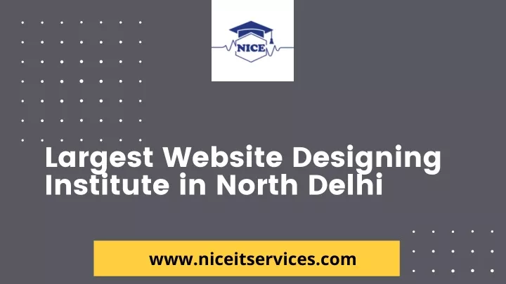 largest website designing institute in north delhi