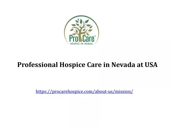 professional hospice care in nevada at usa