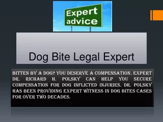 Dog bite legal expert