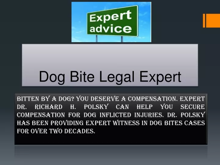 dog bite legal expert