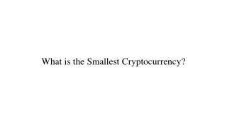 what is the smallest cryptocurrency