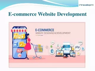 e commerce website development