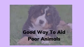 Good Way To Aid Poor Animals