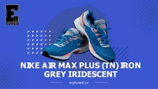 Nike Air Max Plus (TN) Iron Grey Iridescent