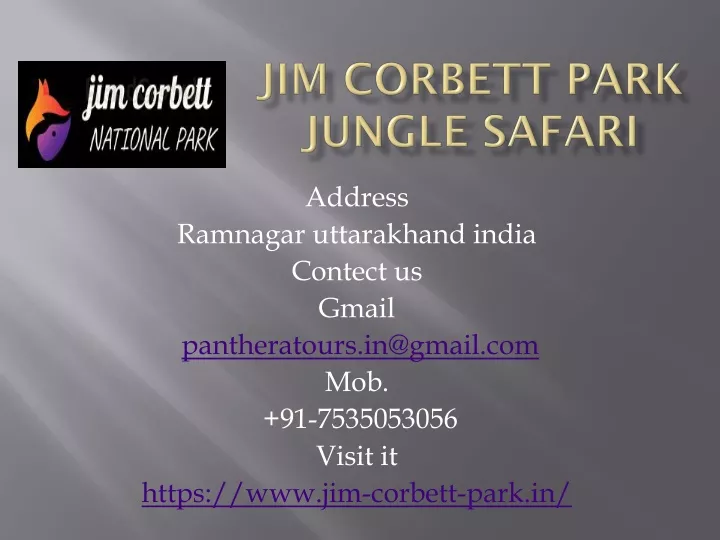 jim corbett park jungle safari