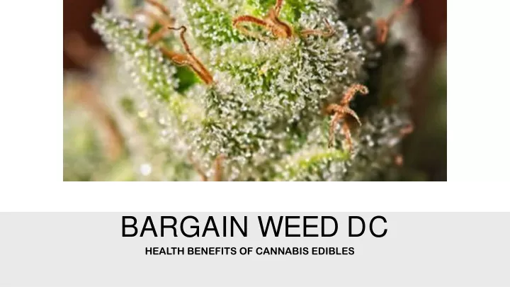 bargain weed dc