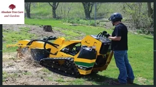 Absolute Tree Care & Gardens Provides Best Hedge Cutting Services Chester