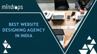WEBSITE DESIGNING AGENCY IN INDIA