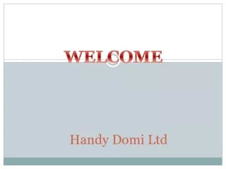handy domi ltd