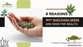 8 Reasons Why Marijuana Seeds Are Good For Health