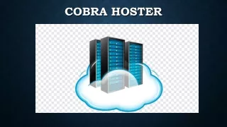 How to Choose the Best Web Host Company - Cobra Hoster