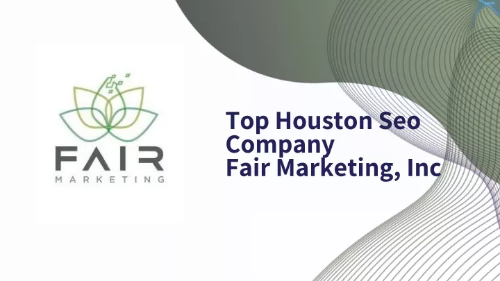 top houston seo company fair marketing inc