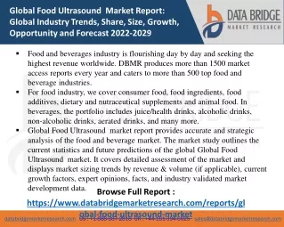 global food ultrasound market report global