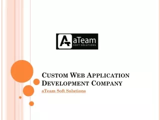 Hire Custom Web Application Development Company