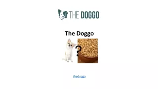 The Doggo