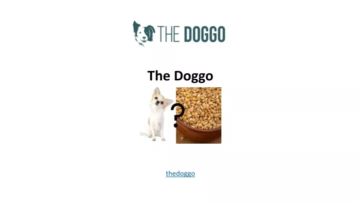 the doggo thedoggo
