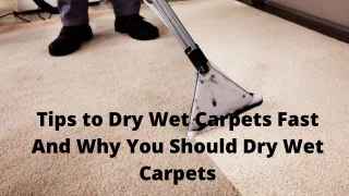 Tips to Dry Wet Carpets Fast And Why You Should Dry Wet Carpets