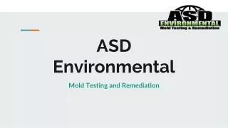Get The Best Crawl Space Mold Removal Service in North Carolina