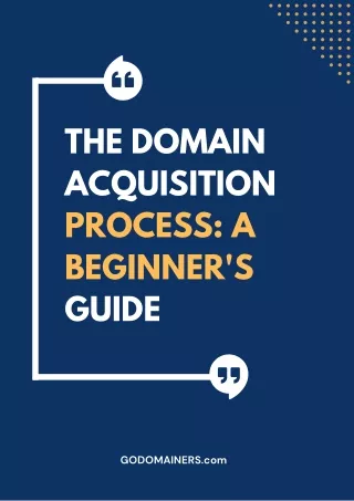The Domain Acquisition Process A Beginner's Guide