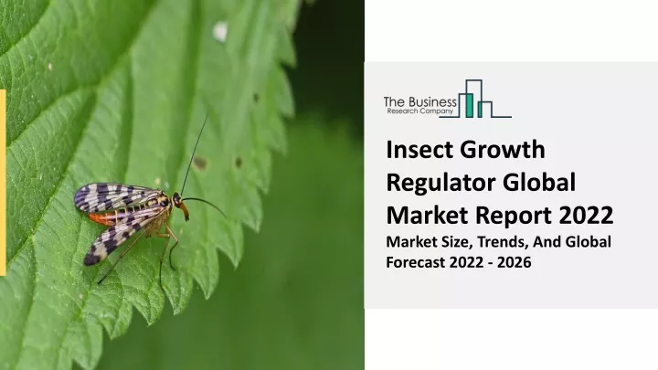 insect growth regulator global market report 2022