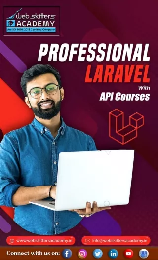 Professional Laravel With API