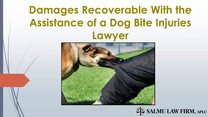 damages recoverable with the assistance of a dog bite injuries lawyer