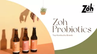 Zoh Probiotics - Top Kombucha Brands