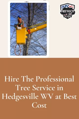 Hire The Professional Tree Service in Hedgesville WV at Best Cost