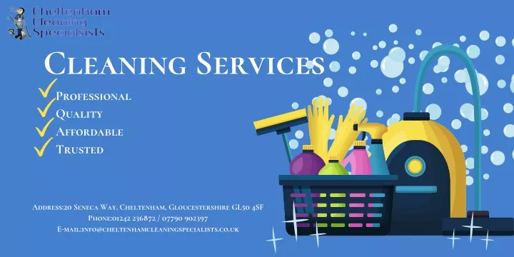 cleaning services professional