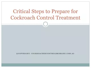 Critical Steps to Prepare for Cockroach Control Treatment