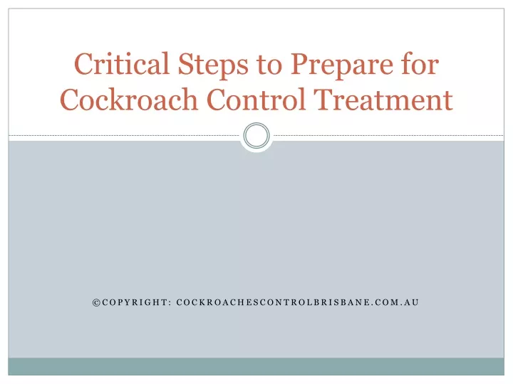 critical steps to prepare for cockroach control treatment