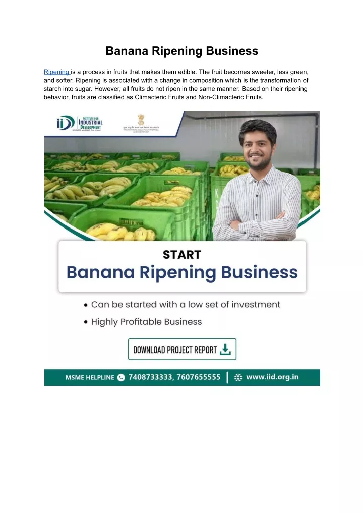 banana ripening business