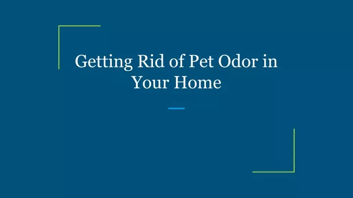 getting rid of pet odor in your home