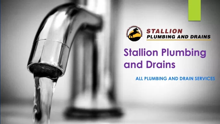stallion plumbing and drains