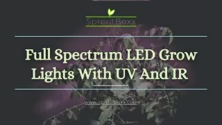 Indoor plant growing products - SproutBoxx