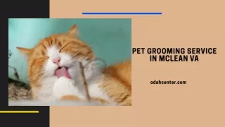 pet grooming service in mclean va