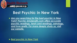 Best Psychic in New York  Psychic-bholenath.com
