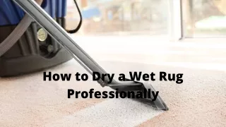 How to Dry a Wet Rug Professionally