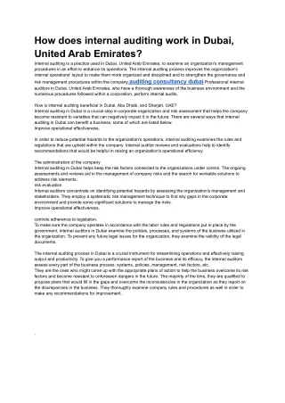how does internal auditing work in dubai united