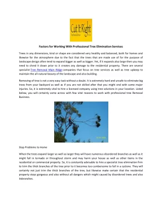 Best Tree Removal Services In Mt Martha | Cut It Right Tree Service Pty Ltd