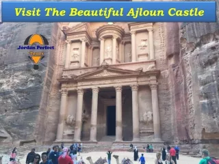 Visit The Beautiful Ajloun Castle