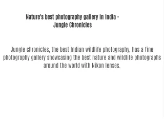 Nature's best photography gallery in India - Jungle Chronicles