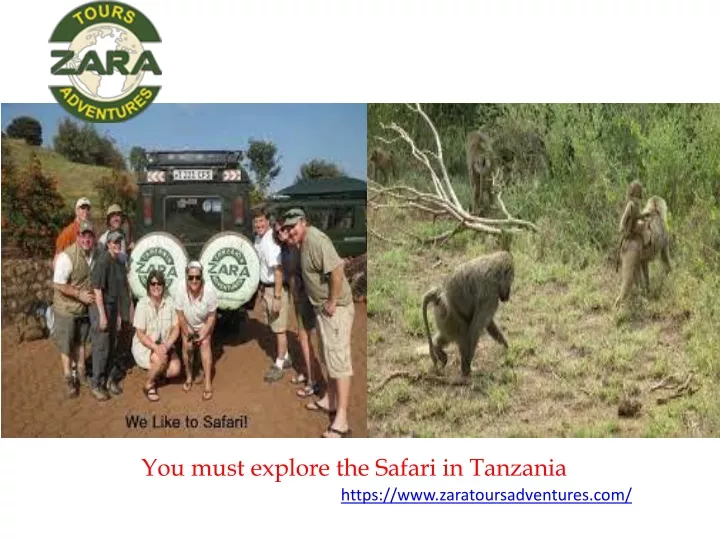 you must explore the safari in tanzania