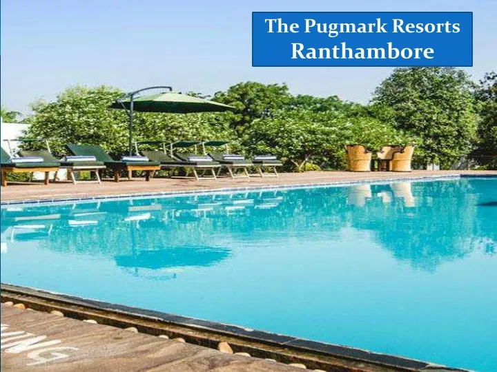 the pugmark resorts ranthambore