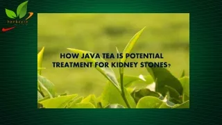 HOW JAVA TEA IS POTENTIAL TREATMENT FOR KIDNEY STONES?