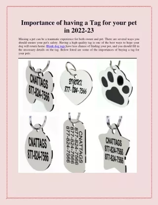 Importance of having a Tag for your pet in 2022-23