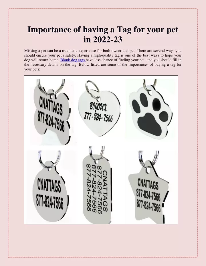 importance of having a tag for your pet in 2022 23