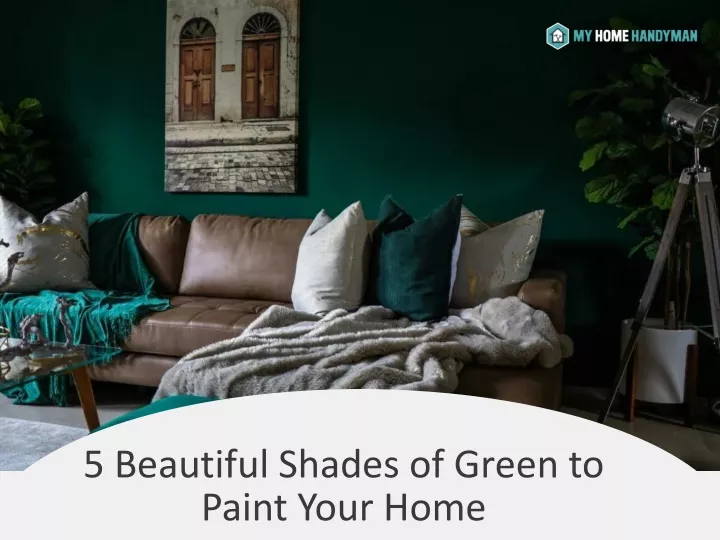 5 beautiful shades of green to paint your home