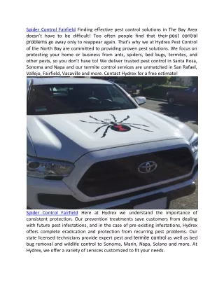 spider control fairfield finding effective pest