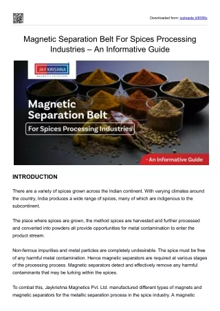 Magnetic Separation Belt For Spices Processing Industries – An Informative Guide